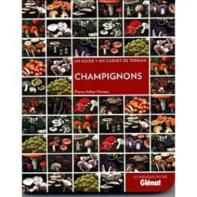 CHAMPIGNONS